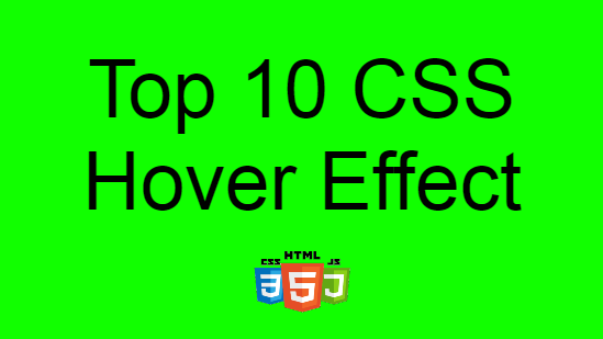 Top 10 CSS Hover Effect | Assist Web App